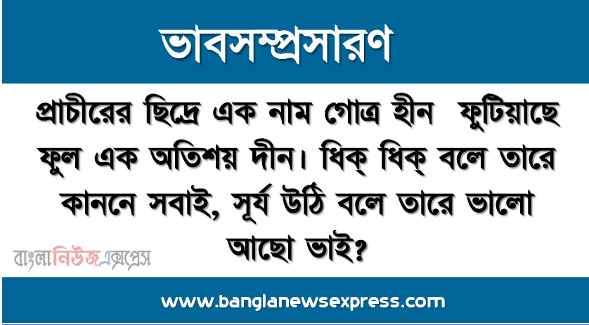 প্রাচীরের ছিদ্রে এক নাম গোত্র হীন ফুটিয়াছে ফুল এক অতিশয় দীন। ধিক্ ধিক্ বলে তারে কাননে সবাই, সূর্য উঠি বলে তারে ভালো আছো ভাই?