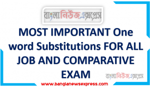 MOST IMPORTANT One word Substitutions FOR ALL JOB AND COMPARATIVE EXAM, One word Substitutions বিগত সালের ব্যাংক নিয়োগ পরীক্ষায় আসা ইংরেজি,Important One word Substitutions for Job Exam,One word Substitutions প্রশ্নপত্র থেকে প্রশ্নোত্তর