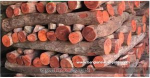 চন্দনের বহুবিধ গুণাবলী ও রাসুল (সা) এর বাণী,রক্ত চন্দন এর উপকারিতা,চন্দন কাঠের ব্যবহার,রক্ত চন্দন বীজ,রক্ত চন্দন এর উপকারিতা