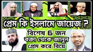 বিয়ের উদ্দেশ্যে প্রেম কি হালাল? প্রেম করে বিয়ে,প্রেম কি ইসলামে হালাল?, আপনারা হাদিস এবং কুরআন থেকে আমাকে উত্তর দিন?,কুরআন-হাদিসের আলোকে প্রেম