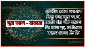 সূরা বাকারা সকল তথ্য আল কোরআন ও হাদিসের আলোতে,পৃথিবীর জানা অজানা কিছু তথ্য আল বাকারা আলমল, সূরা বাকারা কতো বার পাঠ করলে কি লাভ হয়, সূরা বাকারা নাযিলের কারন গুলো কি কি ,কুরআন ২ সূরা আল – বাকারা
