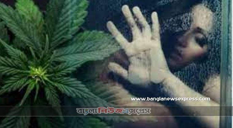 গাঁজা খেলে বৃদ্ধি পায় যৌন ক্ষমতা, গাঁজা খেলে বৃদ্ধি পায় যৌন ক্ষমতা,যৌন আনন্দের জন্য গাঁজা ব্যবহার করেন যে লোকেরা,গাঁজা সেবনে যেভাবে সন্তানধারণের ক্ষমতা নষ্ট হয় পুরুষের,প্রাপ্ত বয়স্কদের শরীর স্বাস্থ্য ভাল রাখতে নিয়মিত, ​গাঁজা খেলে সেরে যায় অনেক রোগ বলছে গবেষনা,গাজা খাওয়ার উপকার এবং অপকার কী কী?