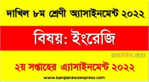 দাখিল ৮ম/অষ্টম শ্রেণির ইংরেজি সপ্তাহের অ্যাসাইনমেন্টের সমাধান ২০২২, দাখিল ৮ম শ্রেণির ইংরেজি সপ্তাহের অ্যাসাইনমেন্টের সমাধান ২০২২, dakhil class 8 english solution (2nd week) 2022, dakhil class 8 english answer 2022 [2nd week english solution 2022]