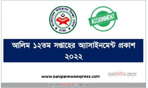আলিম পরীক্ষা ২০২২-এ ১২তম সপ্তাহের অ্যাসাইনমেন্ট প্রকাশ, Alim 12th Week Assignment Published 2022, Alim class 12th week assignment published 2022, আলিম ১২তম সপ্তাহের অ্যাসাইনমেন্ট প্রকাশ ২০২২