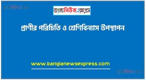 প্রাণীর পরিচিতি ও শ্রেণিবিন্যাস উপস্থাপন, তােমার দেখা পরিচিত বিভিন্ন ধরনের অমেরুদণ্ডী ও মেরুদণ্ডী প্রাণীগুলাের মধ্যে অন্তত ৪টি পর্বের ৪টি প্রাণীর নাম এবং প্রাণীগুলাের পর্বভিত্তিক বৈশিষ্ট্য উল্লেখ করতে হবে