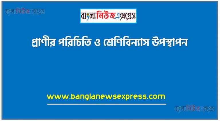 প্রাণীর পরিচিতি ও শ্রেণিবিন্যাস উপস্থাপন,তােমার দেখা পরিচিত বিভিন্ন ধরনের অমেরুদণ্ডী ও মেরুদণ্ডী প্রাণীগুলাের মধ্যে অন্তত ৪টি পর্বের ৪টি প্রাণীর নাম এবং প্রাণীগুলাের পর্বভিত্তিক বৈশিষ্ট্য উল্লেখ করতে হবে