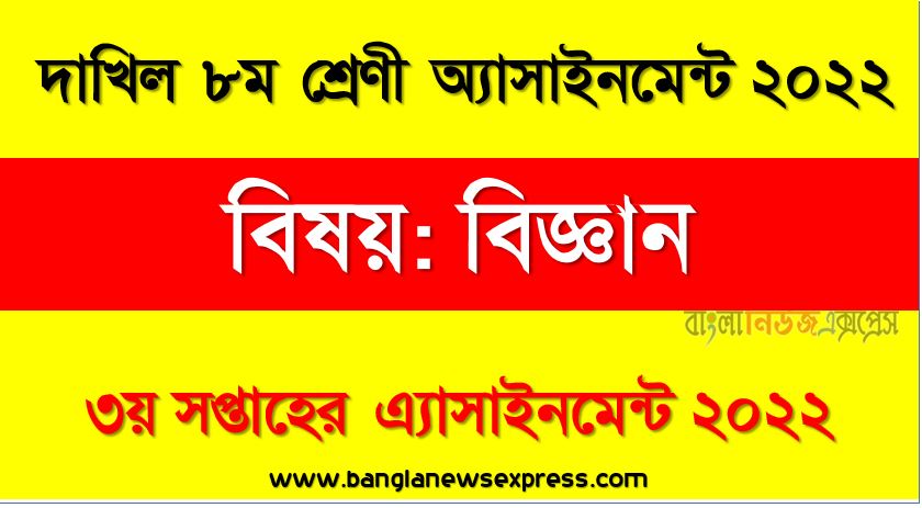 দাখিল ৮ম/অষ্টম শ্রেণির বিজ্ঞান সপ্তাহের অ্যাসাইনমেন্টের সমাধান ২০২২, দাখিল ৮ম শ্রেণির বিজ্ঞান সপ্তাহের অ্যাসাইনমেন্টের সমাধান ২০২২, dakhil class 8 science solution (3rd week) 2022, dakhil class 8 science answer 2022 [3rd week science solution 2022]