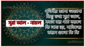 সূরা নামল সকল তথ্য আল কোরআন ও হাদিসের আলোতে,পৃথিবীর জানা অজানা কিছু তথ্য আল নামল আলমল ও ফজিলত, সূরা নামল কতো বার পাঠ করলে কোন আলম ও ফজিলত, সূরা নামল নাযিলের কারন গুলো কি কি ,কুরআন ২৭ সূরা আল – নামল