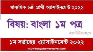 দাখিল ৬ষ্ঠ/ষষ্ঠ শ্রেণির বাংলা ১ম পত্র ১ম সপ্তাহের অ্যাসাইনমেন্টের সমাধান ২০২২,দাখিল ৬ষ্ঠ শ্রেণির বাংলা ১ম পত্র ১ম সপ্তাহের অ্যাসাইনমেন্টের সমাধান ২০২২, dakhil class 6 bangla 1st paper solution (1st week) 2022