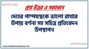 দেহের পাম্পযন্ত্রকে ভালো রাখার উপায় বর্ণনা সহ সচিত্র প্রতিবেদন উপস্থাপন,শরীরের রক্ত সঞ্চালন কার্যক্রম ব্যাখ্যা করতে পারবে,হৃদযন্ত্র কে ভালো রাখার উপায় বর্ণনা করতে পারবে,হৃদপিন্ডের চিহ্নিত চিত্র অংকন,হৃদযন্ত্র কে ভালো রাখার উপায় বর্ণনা,হূদরোগ হতে সুরক্ষিত থাকার উপায় সমূহ বর্ণনা