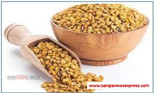 মেথির উপকারিতা ও অপকারিতা ও মেথি খাওয়ার নিয়ম,মেথি খাওয়ার নিয়ম ও উপকারিতা জেনে নিন, মেথির উপকারিতা ও অপকারিতা নারী ও পুরুষ উভয়েই যৌনতার জন্য,মেথির উপকারিতা ও মেথির পার্শ্বপ্রতিক্রিয়া নিয়ে সঠিক তথ্য