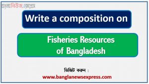 jsc important composition Fisheries Resources of Bangladesh,ssc important composition Fisheries Resources of Bangladesh,hsc important composition Fisheries Resources of Bangladesh,Fisheries Resources of Bangladesh essay for jsc,Fisheries Resources of Bangladesh essay for ssc
