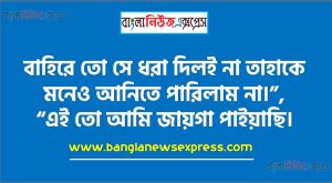 বাহিরে তো সে ধরা দিলই না তাহাকে মনেও আনিতে পারিলাম না।”, “এই তো আমি জায়গা পাইয়াছি। ”,“ছোটোকে যাঁহারা সামান্য বলিয়া ভুল করেন না তাঁহারা ইহার রস বুঝিবেন।”,“আমরা যে ধনী একথা তিনিও ভোলেন না আমাকেও ভুলিতে দেন না।