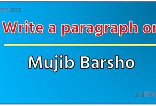 Write a paragraph on ‘Mujib Barsho’, Short Paragraph on Mujib Barsho, New Paragraph on ‘Mujib Barsho’, Short New Paragraph on Mujib Barsho, Mujib Barsho