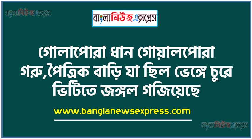 সেবার বুড়ির বাড়িতে আমার যাওয়া ঘটে উঠল না,তেনার বড্ড অসুখ এবার বোধ হয় বাঁচবে না, গোলাপোরা ধান গোয়ালপোরা গরু,পৈত্রিক বাড়ি যা ছিল ভেঙ্গে চুরে ভিটিতে জঙ্গল গজিয়েছে