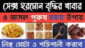 যৌনস্বাস্থ্যের জন্য উপকারী যেসব খাবার,পুরষ- নারীর যৌন ক্ষমতা বৃদ্ধি করতে যে যে খাবার খাওয়া উচিত,বিশেষ শক্তি বাড়াতে সাহায্য খাবার ,পুরুষের যৌন শক্তি বৃদ্ধি ৩ Dry Fruits, পুরুষের ‘বল’ বাড়িয়ে দেবে এই ৩ Dry Fruits! খাওয়া চালু করলেই রাতারাতি ম্যাজিক