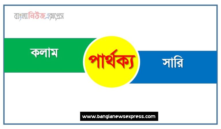 কলাম (Column) ও সারি (Row) পার্থক্য, কলাম (Column) vs সারি (Row) পার্থক্য, কলাম (Column) ও সারি (Row) তুলনামূলক আলোচনা, সারি (Row) ও কলাম (Column) মধ্যে পার্থক্য, কলাম (Column) ও সারি (Row) কাকে বলে,তুলনা করি: কলাম (Column) ও সারি (Row) আলোচনা