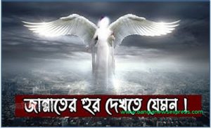 কোরআন হাদিসের আলোতে বেহেশতে হুরের বর্ণনা,বেহেশতে পুরুষের জন্য হুর নারীর জন্য কী?,হুর বিষয়ক আয়াতসমূহ,জান্নাতের হুরদের বর্ণনা, জান্নাতের হুর দেখতে কেমন হবে!,৭২ জন বেহেশতী কুমারী হুরী,জান্নাতবাসীদের যৌনশক্তি এবং হুরদের সাথে সহবাস বিষয়ে কুরআন