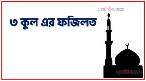 ৩ কুল এর ফজিলত, নবিজী (সা.) তিন তাসবিহ ৩ কুল কেন পড়তেন?,তিন কুল পড়ার ফজিলত ও আমলের পদ্ধতি, তিন কুল এর ফজিলত,আয়াতুল কুরসি ও তিন কুল পাঠের গুরুত্ব, তিন কুল: প্রত্যেক বস্তুর বিপদাপদের মোকাবিলায় যথেষ্ট