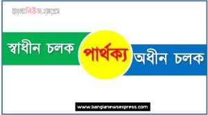 স্বাধীন চলক ও অধীন চলক পার্থক্য, স্বাধীন চলক vs অধীন চলক পার্থক্য, স্বাধীন চলক ও অধীন চলক তুলনামূলক আলোচনা, অধীন চলক ও স্বাধীন চলক মধ্যে পার্থক্য, স্বাধীন চলক ও অধীন চলক কাকে বলে,তুলনা স্বাধীন চলক: স্বাধীন চলক ও অধীন চলক আলোচনা