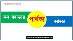 নন ক্যাডার ও ক্যাডার পার্থক্য, নন ক্যাডার vs ক্যাডার পার্থক্য, নন ক্যাডার ও ক্যাডার তুলনামূলক আলোচনা, ক্যাডার ও নন ক্যাডার মধ্যে পার্থক্য, নন ক্যাডার ও ক্যাডার কাকে বলে,তুলনা নন ক্যাডার: নন ক্যাডার ও ক্যাডার আলোচনা