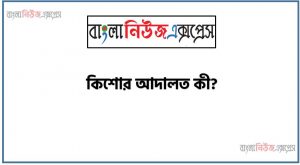 কিশোর আদালত কী?, কিশোর আদালত বলতে কী বুঝ?,কিশোর আদালত ধারণাটি ব্যাখ্যা কর,কিশোর আদালতের সংজ্ঞা দাও,কিশোর আদালত কাকে বলে?