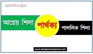 আগ্নেয় শিলা ও পাললিক শিলা পার্থক্য, আগ্নেয় শিলা vs পাললিক শিলা পার্থক্য, আগ্নেয় শিলা ও পাললিক শিলা তুলনামূলক আলোচনা, পাললিক শিলা ও আগ্নেয় শিলা মধ্যে পার্থক্য