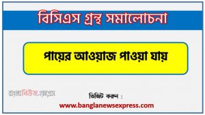 BCS গ্রন্থ সমালোচনা পায়ের আওয়াজ পাওয়া যায়,বাংলা গ্রন্থ সমালোচনা পায়ের আওয়াজ পাওয়া যায়, পায়ের আওয়াজ পাওয়া যায় কাব্যের সার্থকতা আলোচনা,বিসিএস লিখিত পরীক্ষার বিষয়ভিত্তিক প্রস্তুতি পায়ের আওয়াজ পাওয়া যায়