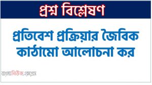প্রতিবেশ প্রক্রিয়ার জৈবিক কাঠামো আলোচনা কর, প্রতিবেশ প্রক্রিয়ার জৈবিক কাঠামোগুলোর শ্রেণিবিভাগ আলোচনা , প্রতিবেশ প্রক্রিয়ার জৈবিক কাঠামোর পরিচয় উল্লেখ কর, প্রতিবেশ প্রক্রিয়ার জৈবিক শ্রেণিবিন্যাসসমূহ বর্ণনা কর
