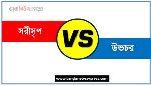 সরীসৃপ ও উভচর পার্থক্য, সরীসৃপ vs উভচর পার্থক্য, সরীসৃপ ও উভচর তুলনামূলক আলোচনা, উভচর ও সরীসৃপ মধ্যে পার্থক্য