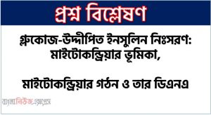 গ্লুকোজ-উদ্দীপিত ইনসুলিন নিঃসরণ: মাইটোকন্ড্রিয়ার ভূমিকা, মাইটোকন্ড্রিয়ার গঠন ও তার ডিএনএ, অক্সিডেটিভ ফসফোরিলেশন (OXFOS),পটাসিয়াম চ্যানেল (Potassium channel)