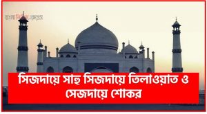সিজদায়ে সাহু সিজদায়ে তিলাওয়াত ও সেজদায়ে শোকর,সাহু সিজদা করার নিয়ম,সাহু সিজদা,সাহু সিজদা কিভাবে করতে হয়
