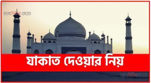 যাকাত দেওয়ার নিয়ম,স্বর্ণের যাকাত দেওয়ার নিয়ম,যাকাত,যাকাত দেওয়ার সঠিক সময়,যাকাত দেয়ার নিয়ম,যাকাত দেওয়ার নিয়ম,যাকাত কাদের উপর ফরজ,যাকাত কাকে দেওয়া যাবে