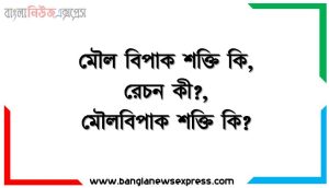 মৌল বিপাক শক্তি কি, রেচন কী?, মৌলবিপাক শক্তি কি?,উদ্দীপকের ‘A’ চিহ্নিত অঙ্গের কার্যকরী এককের গঠন বর্ণনা করো,চিত্র: X দেহ থেকে বর্জ্য পদার্থ অপসারণে গুরুত্বপূর্ণ ভূমিকা পালন করে— বিশ্লেষণ করো।