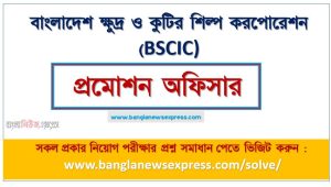 বাংলাদেশ ক্ষুদ্র ও কুটির শিল্প করপোরেশন এর প্রমোশন অফিসার পদের প্রশ্ন সমাধান pdf ২০২৩, bscic promotion officer exam question solve 2023, download pdf বিসিক নিয়োগ পরীক্ষায় প্রমোশন অফিসার পদের প্রশ্ন সমাধান ২০২৩