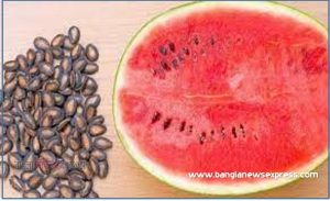 তরমুজের বিচির উপকারিতা, তরমুজের উপকারিতা, তরমুজের বীজের উপকারিতা, তরমুজের উপকারিতা ও অপকারিতা, তরমুজের অপকারিতা,তরমুজ বীজের উপকারিতা