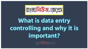What is data entry controlling and why it is important?,What is data entry? All information about data entry