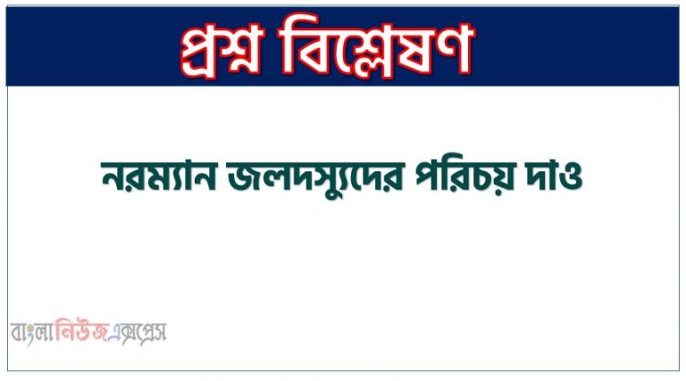 নরম্যান জলদস্যুদের পরিচয় দাও, নরম্যান জলদস্যু সম্পর্কে যা জান লিখ