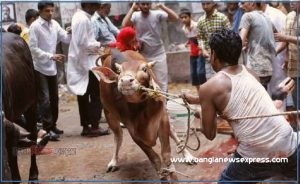 কুরবানির পশু জবাই করার নিয়ম-পদ্ধতি ও দোয়া, কুরবানির পশু জবাইয়ের দোয়া ও পদ্ধতি, পশু কোরবানির নিয়ম-দোয়া,পশু কোরবানি করার দোয়া