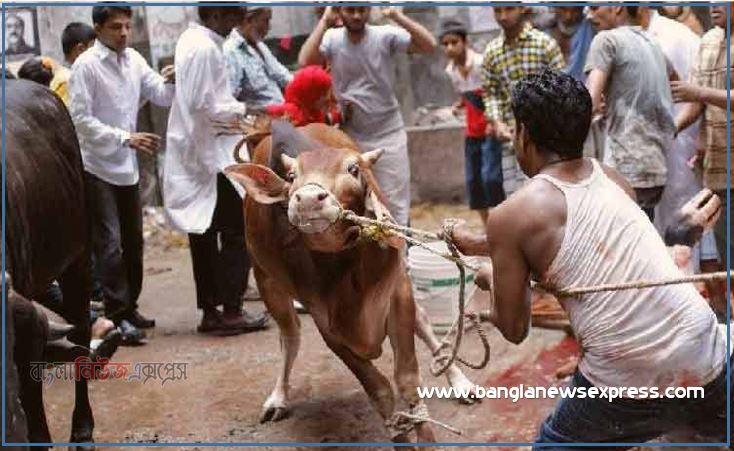কুরবানির পশু জবাই করার নিয়ম-পদ্ধতি ও দোয়া, কুরবানির পশু জবাইয়ের দোয়া ও পদ্ধতি, পশু কোরবানির নিয়ম-দোয়া,পশু কোরবানি করার দোয়া