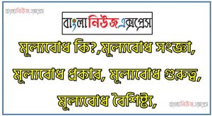 মূল্যবোধ কি?,মূল্যবোধ সংজ্ঞা, মূল্যবোধ প্রকার, মূল্যবোধ গুরুত্ব, মূল্যবোধ বৈশিষ্ট্য,মূল্যবোধের উদাহরণ হল