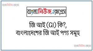 জি আই (GI) কি?, বাংলাদেশের জি আই পণ্য সমূহ,জিআই কী ও কেন?, জি আই: বাংলাদেশের ভৌগলিক নির্দেশক স্বীকৃতি পাওয়া