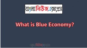 What is Sunil Economics? Opportunities and challenges