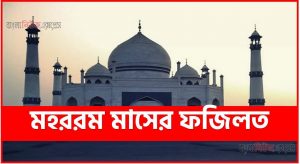 মহররম মাসের ফজিলত,মহররম মাসের রোজার ফজিলত,মহররম মাসের আমল,মহররম মাসের রোজা,মহররম মাসের তাৎপর্য