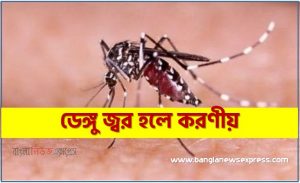 ডেঙ্গু জ্বর হলে করণীয়,ডেঙ্গু জ্বর প্রতিরোধে করণীয়,ডেঙ্গু জ্বর প্রতিরোধের উপায় , ডেঙ্গু জ্বর করণীয় কি