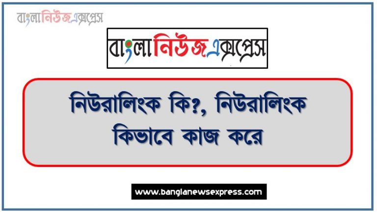 নিউরালিংক কি?, নিউরালিংক কিভাবে কাজ করে?,নিউরালিংক এর কাজ,নিউরালিংক এর কার্যাবলীর