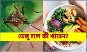 ডেঙ্গু হলে কী খাবেন?, ডেঙ্গু জ্বর হলে কী খাবেন আর কী খাবেন না, ডেঙ্গু হলে কী খাবেন আর কী খাবেন না
