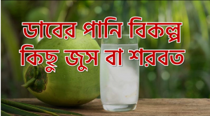 ডাবের পানির বিকল্প,ডাবের পানি বিকল্প কিছু জুস বা শরবত,ডাবের পানির পরিবর্তনে যা যা খেতে পারেন,যখন নারকেল জলের বিকল্প খোঁজার কথা আসে