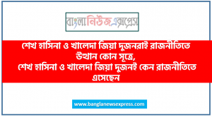 শেখ হাসিনা ও খালেদা জিয়া দুজনরাই রাজনীতিতে উত্থান কোন সূত্রে, শেখ হাসিনা ও খালেদা জিয়া দুজনই কেন রাজনীতিতে এসেছেন