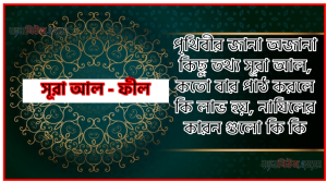 সূরা ফীল সকল তথ্য আল কোরআন ও হাদিসের আলোতে,পৃথিবীর জানা অজানা কিছু তথ্য আল ফীল আলমল ও ফজিলত, সূরা ফীল কতো বার পাঠ করলে কোন আলম ও ফজিলত